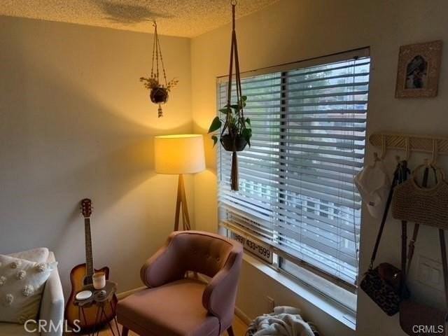 25006 Terrace Lantern - Photo 2 of 8