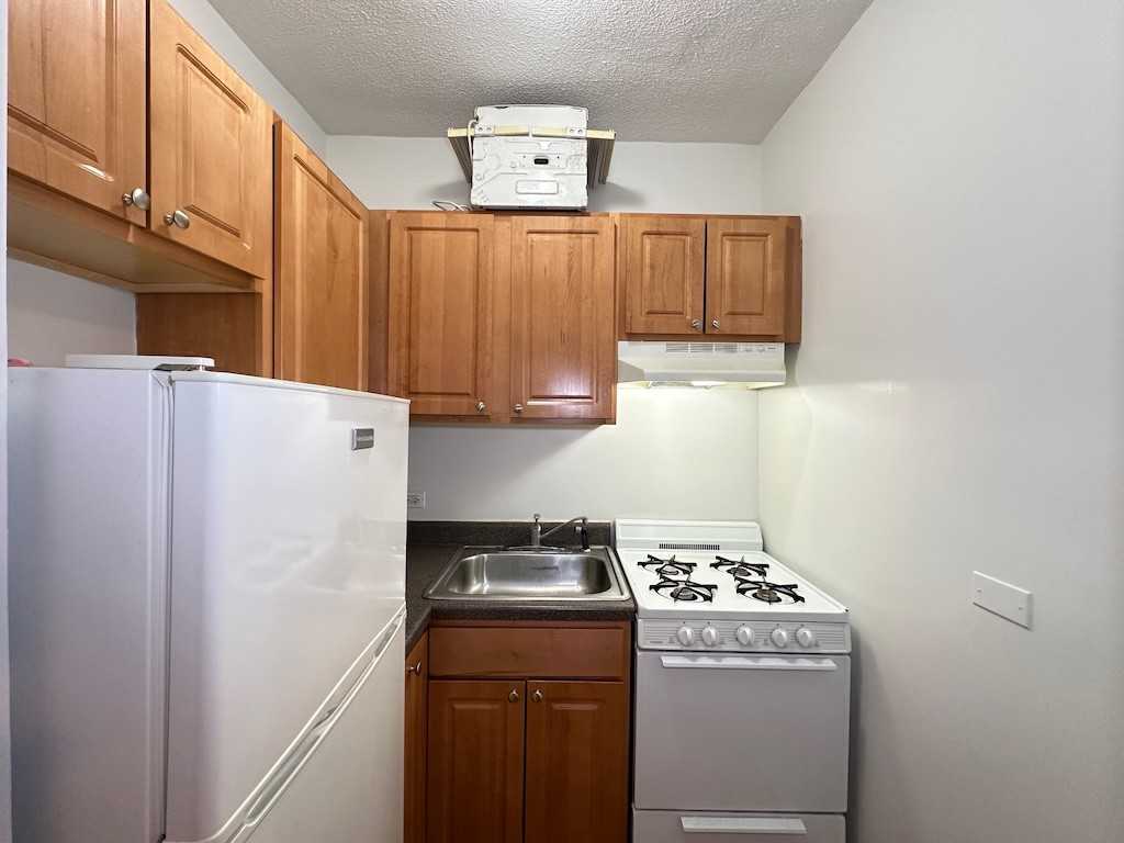 1742 N Humboldt Blvd #208 - Photo 2 of 21