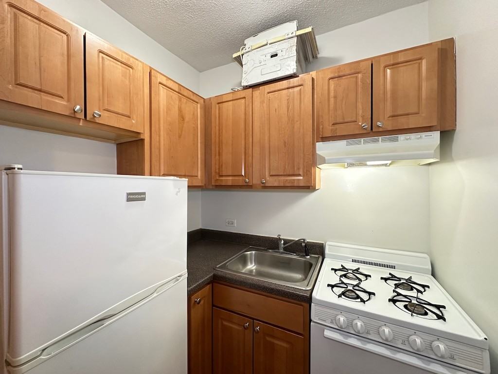 1742 N Humboldt Blvd #208 - Photo 3 of 21