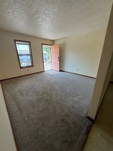 Tiger Lilee Cove - Photo 5 of 23