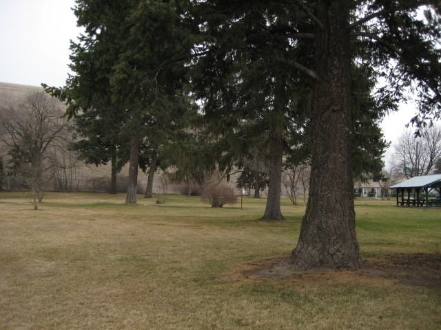 115 Turner Ct #3 - Photo 2 of 10