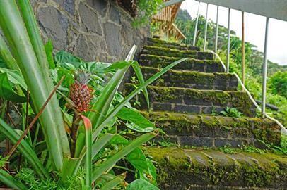 3270 Huelani Dr #A - Photo 6 of 18