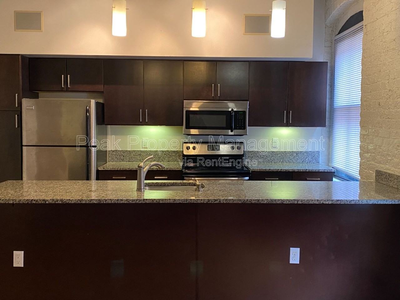 325 Brown St #2001 - Photo 5 of 9