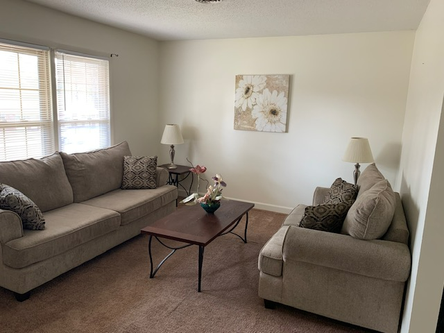 369 Crabapple Cir #96 - Photo 3 of 20