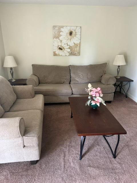 369 Crabapple Cir #96 - Photo 7 of 20