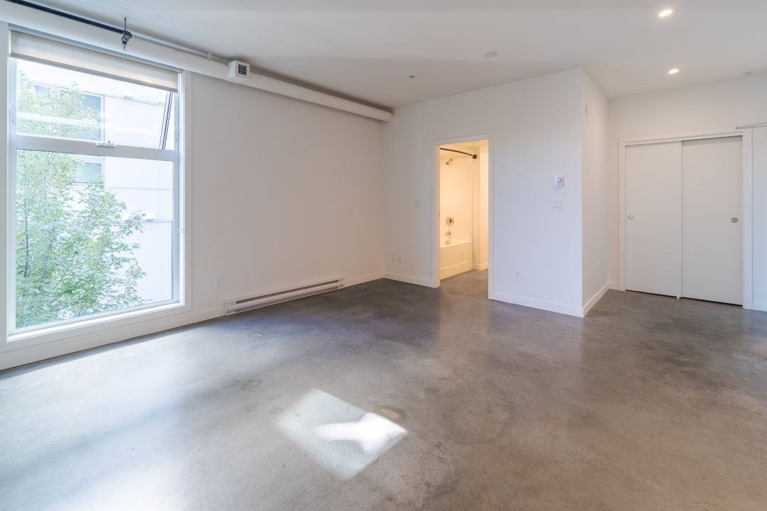 2570 Fifth Street #206 - Photo 5 of 18
