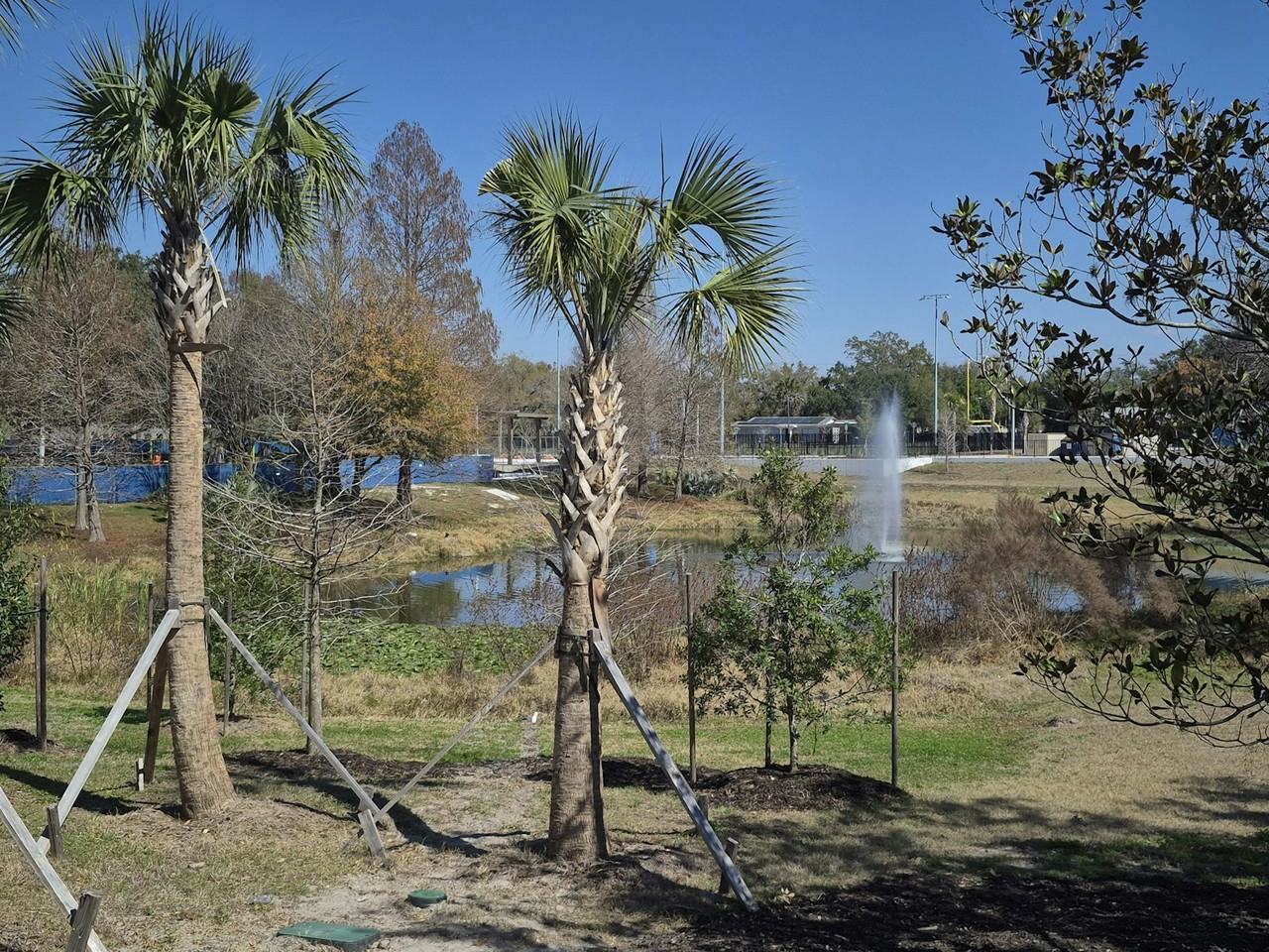 3312 East Ellicott Street - Photo 7 of 23