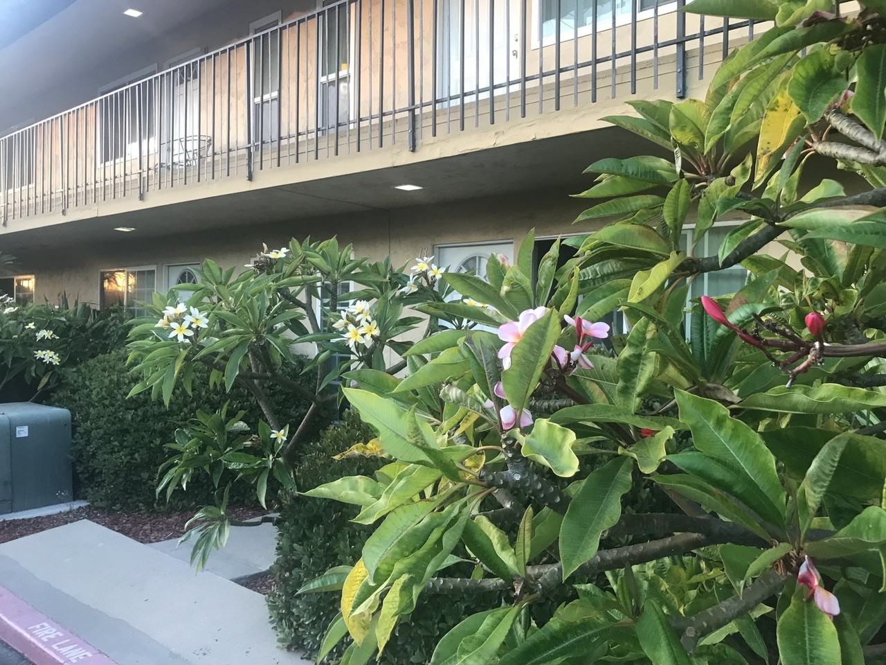 Sus Casitas Apartments - Photo 3 of 11