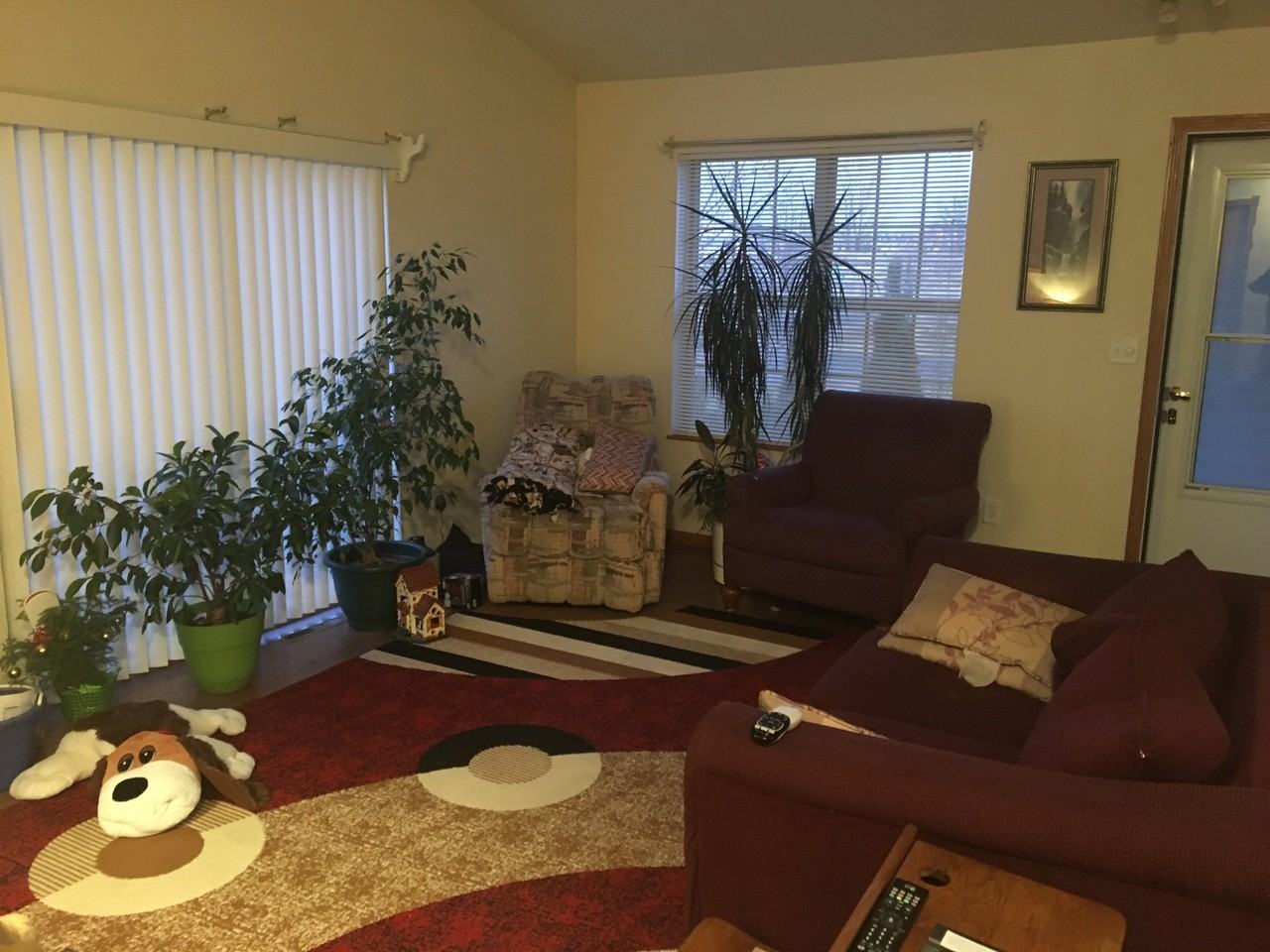 3202 Foxtail Court - Photo 2 of 9