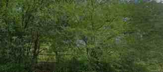 3316 Branch St - Photo 1 of 1