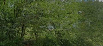 featured image of 3316 Branch St