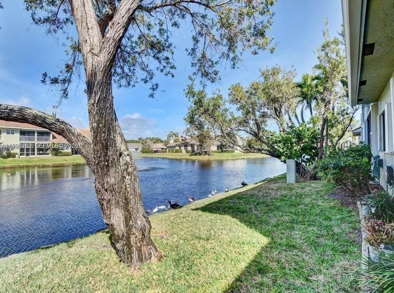 51 N Lakeshore Dr #51 - Photo 6 of 32