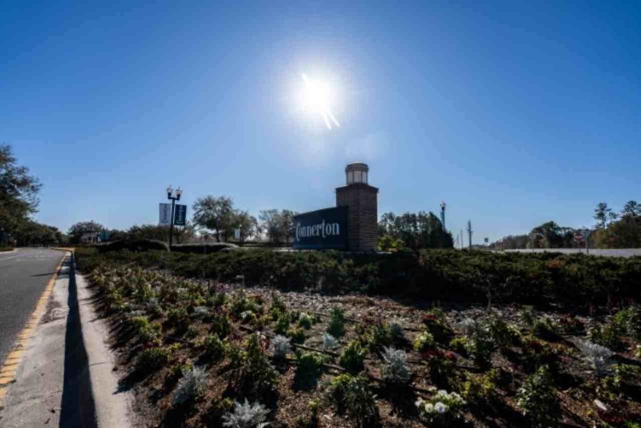 21397 Snowy Orchid Ter - Photo 3 of 50