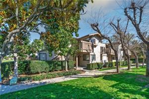 featured image of 37 Rockwood #24