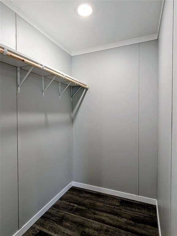 2502 Coyote Trl - Photo 6 of 8