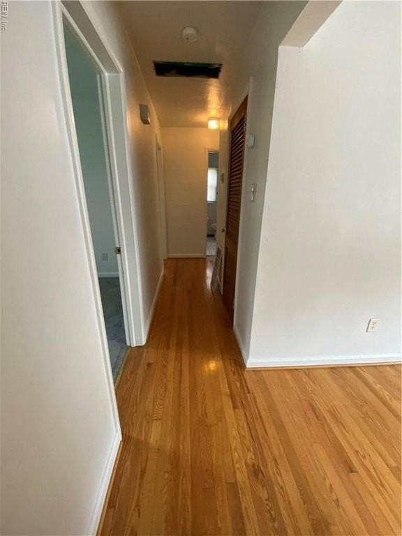 806 Vermont Ave - Photo 5 of 13