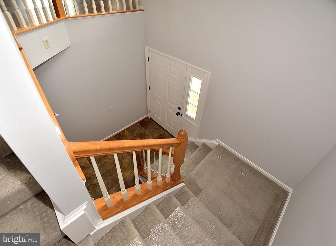 20428 Cool Fern Sq - Photo 2 of 19