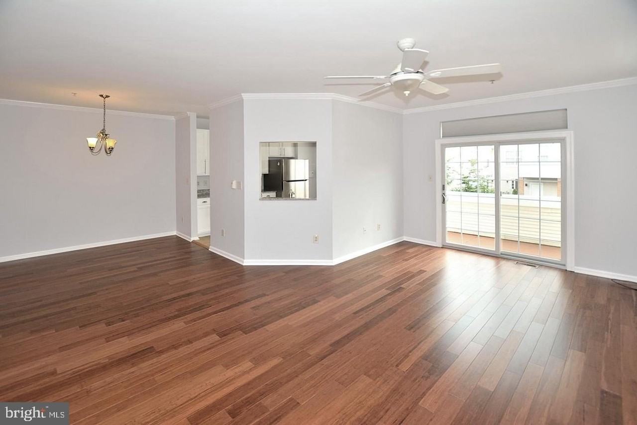 20428 Cool Fern Sq - Photo 3 of 19