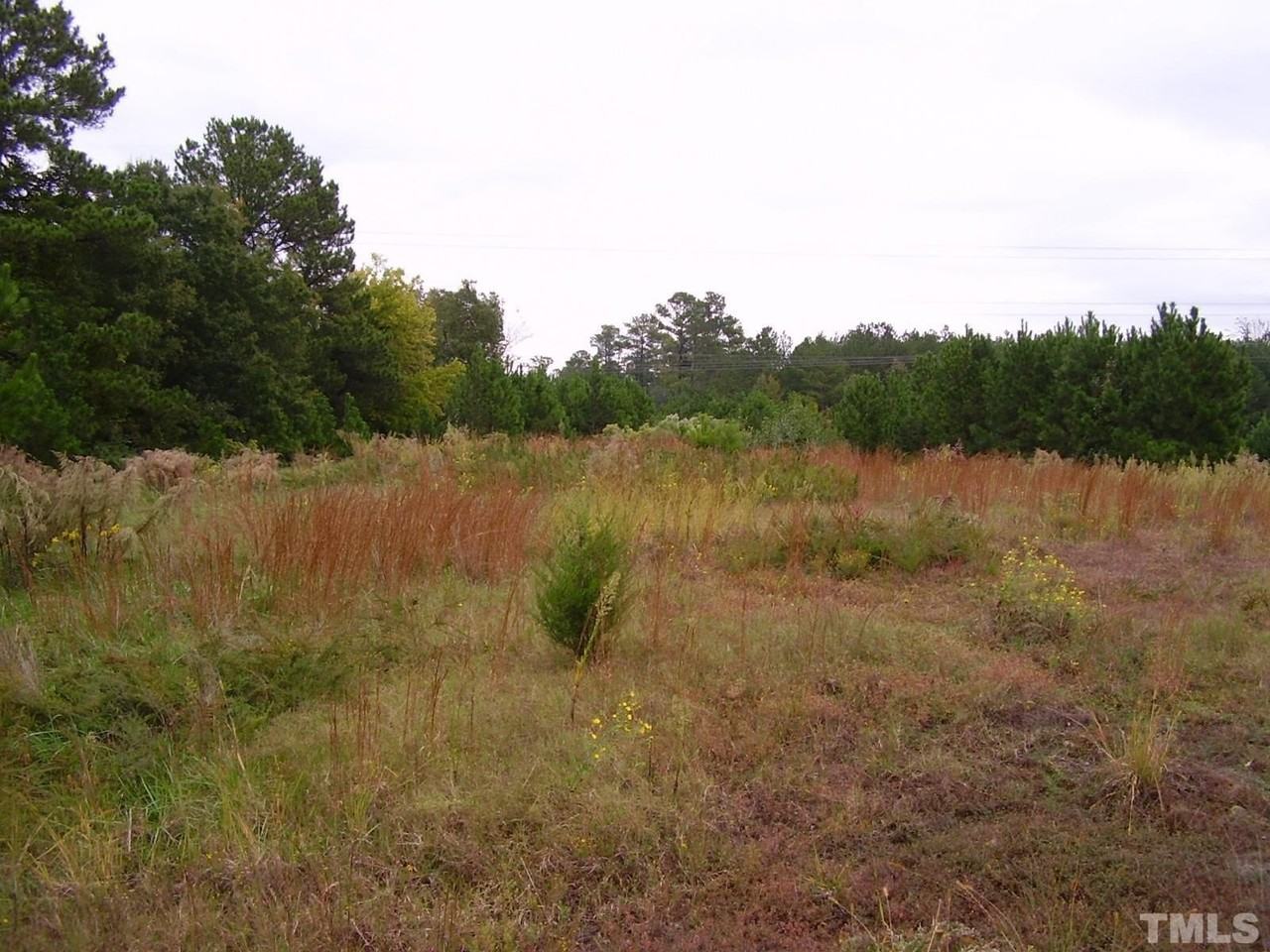 2306 Summer Shire Way - Photo 6 of 26