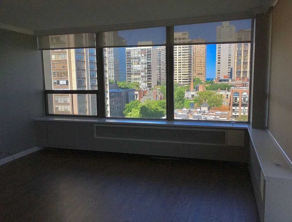 1460 N Sandburg Ter #801A - Photo 2 of 21