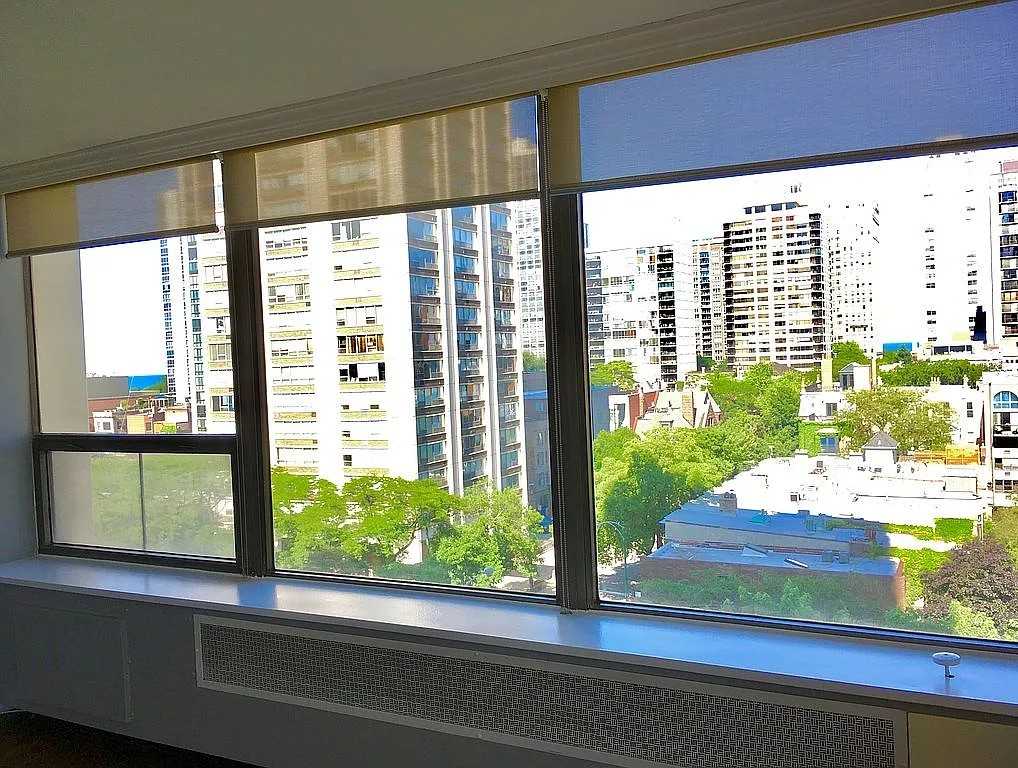 1460 N Sandburg Ter #801A - Photo 3 of 21