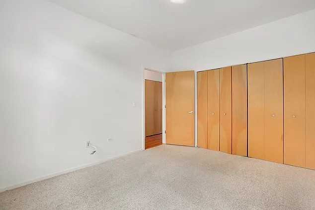 1808 S Michigan Ave #29 - Photo 6 of 14