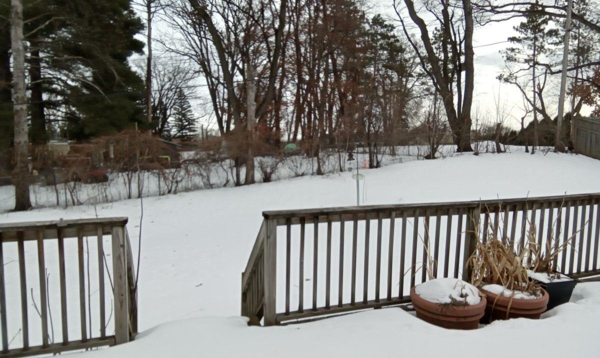 4130 Glacier Ln N - Photo 2 of 17