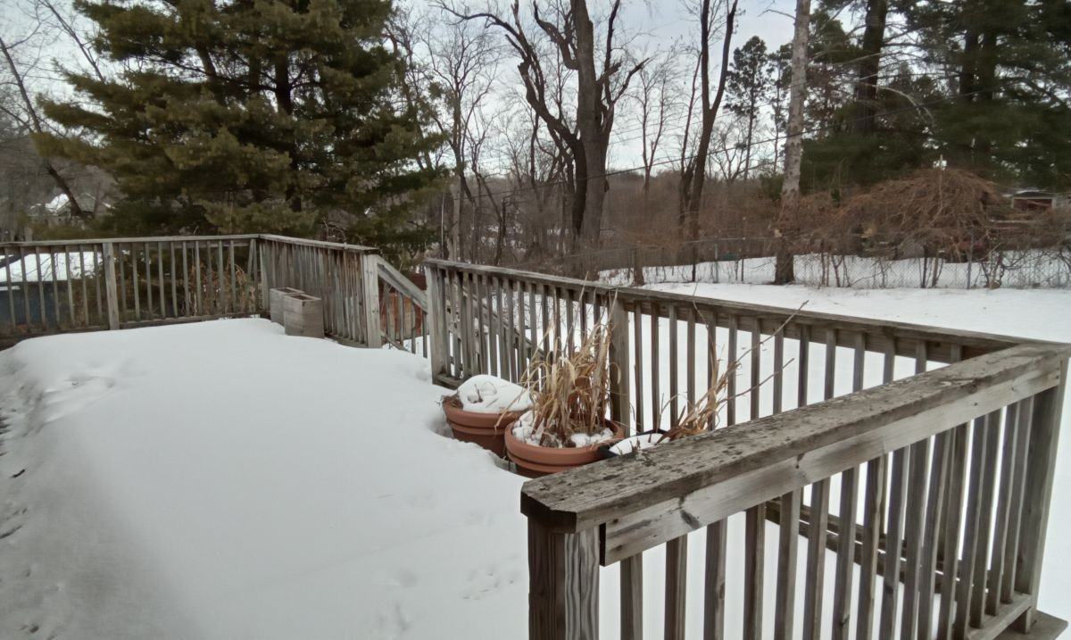 4130 Glacier Ln N - Photo 5 of 17