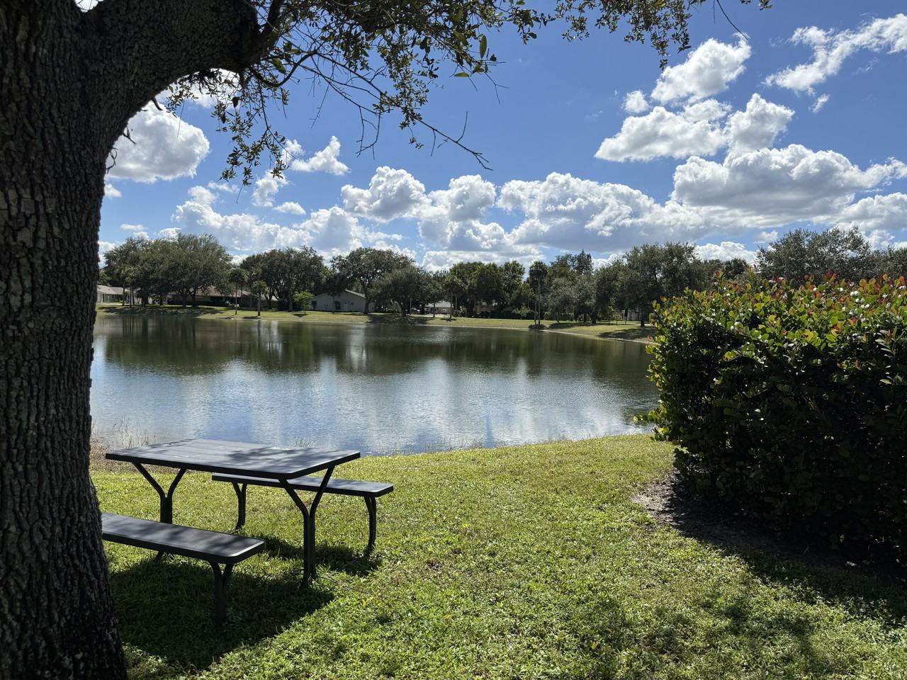 12243 Londonderry Ln - Photo 5 of 18