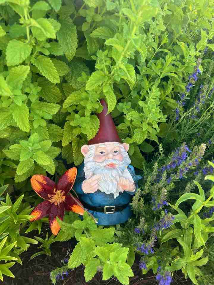 5024 N Madison St - Photo 3 of 28