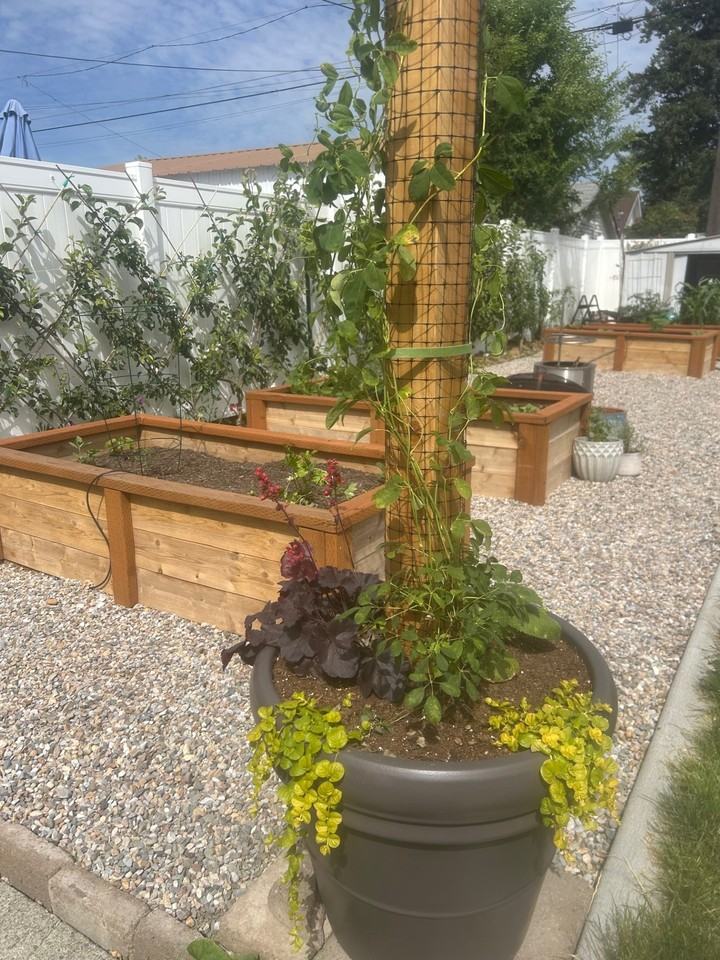 5024 N Madison St - Photo 6 of 28