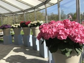 215 Bibro C #C - Photo 1 of 1