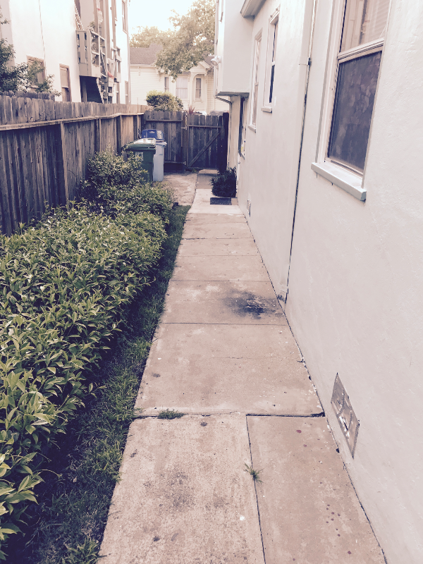 3219 King St - Photo 7 of 12