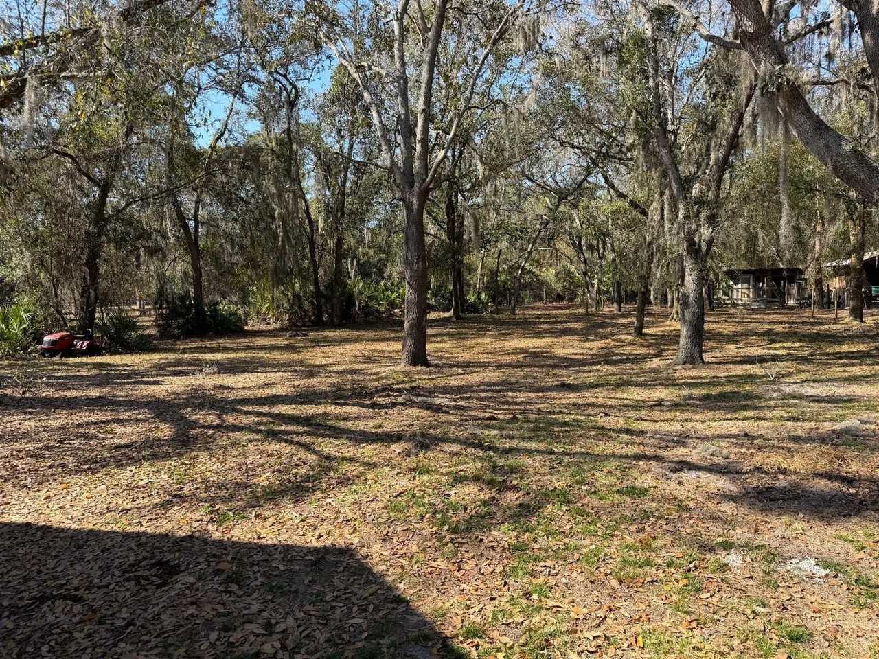 3450 Clark Rd - Photo 6 of 33