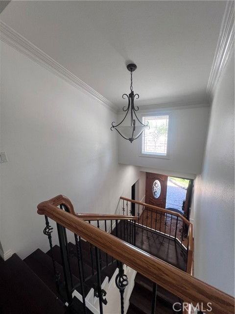 24512 Pat Pl - Photo 2 of 8