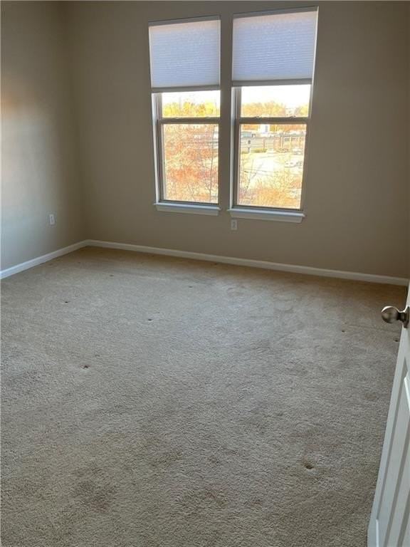 1000 Providence Pl Apt 480 #480 - Photo 6 of 17