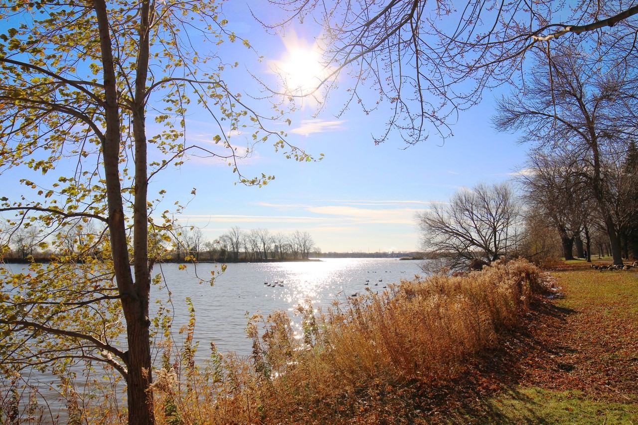 7777 Boulevard LaSalle #115 - Photo 2 of 4