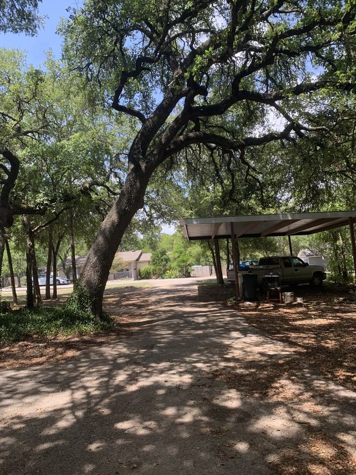 12709 Pheasant Run - Photo 5 of 13