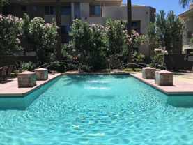 4343 N 21st St #204 - Photo 1 of 1