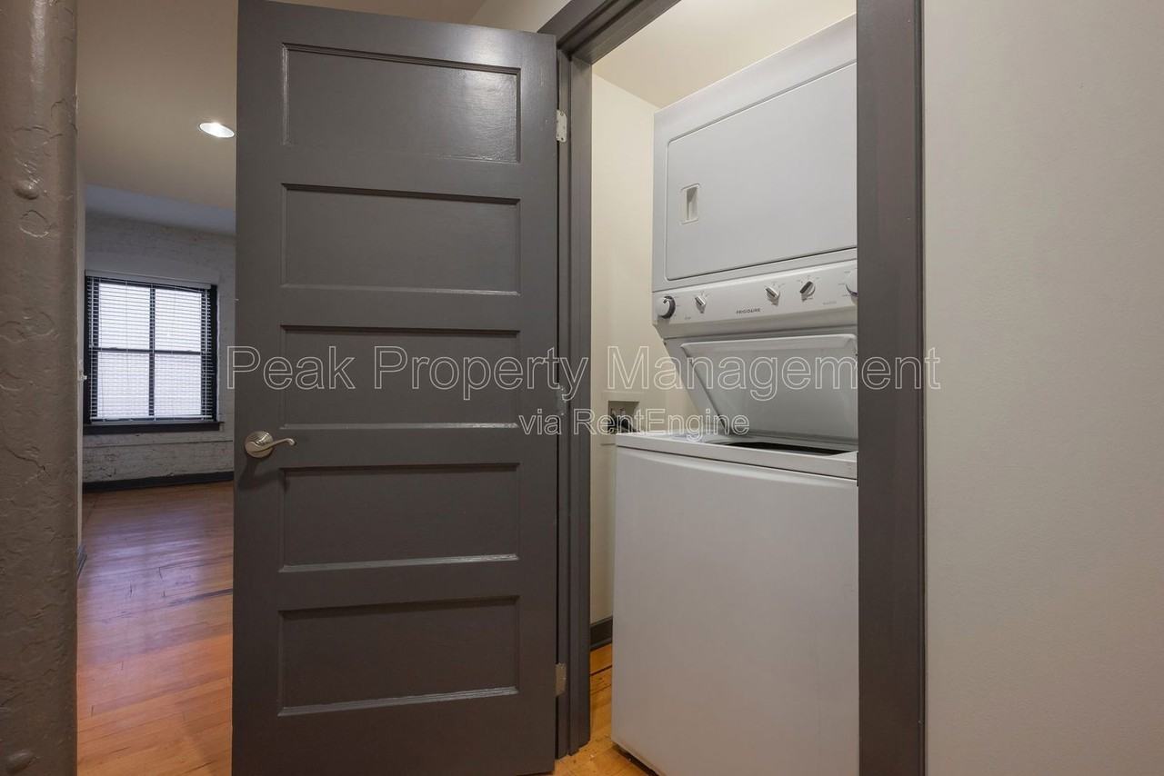 325 Brown St #3009 - Photo 3 of 4