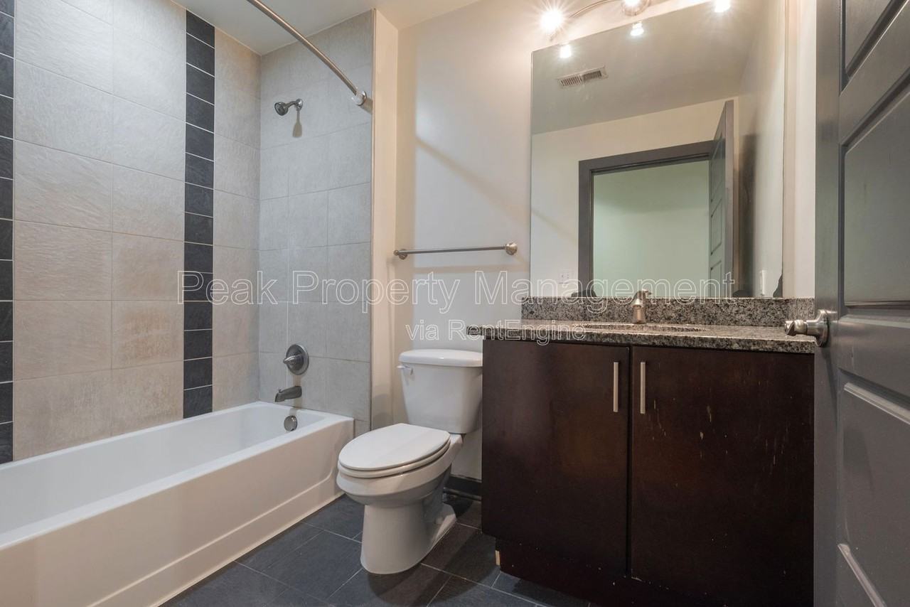 325 Brown St #3009 - Photo 4 of 4