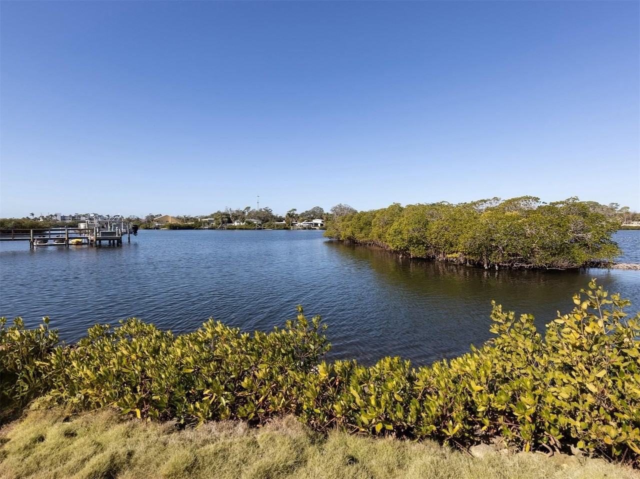 498 Buena Vista Dr - Photo 3 of 12