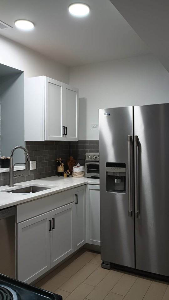 1529 W Cullerton St #1 - Photo 5 of 17