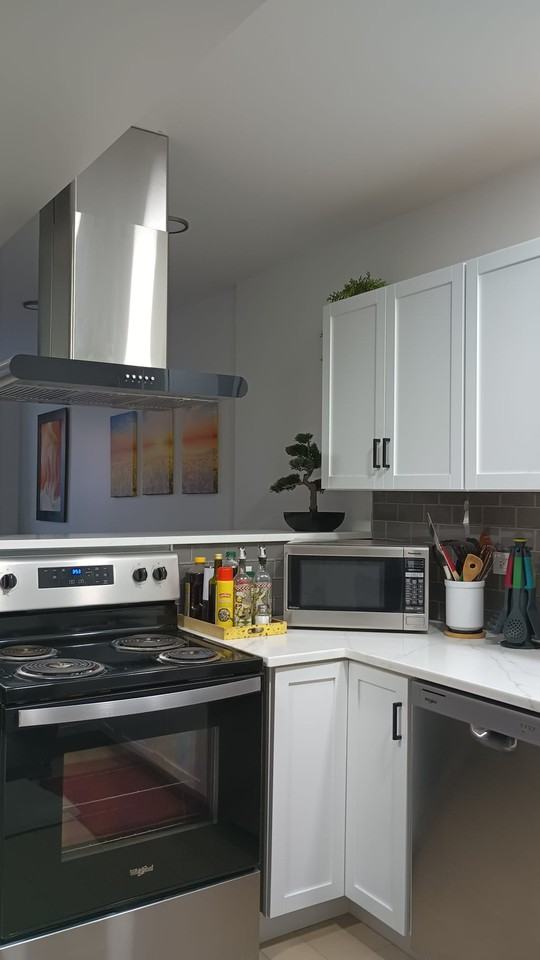 1529 W Cullerton St #1 - Photo 6 of 17