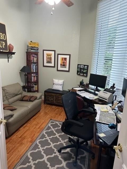 6727 Royal Orchid Cir - Photo 6 of 31