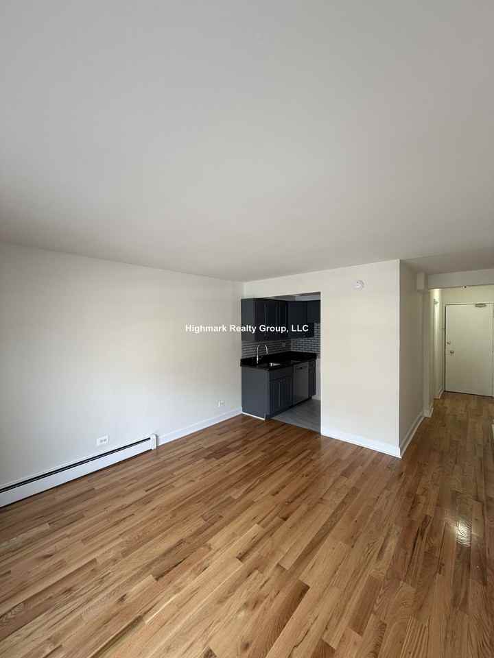 6830 N Sheridan Rd #251A - Photo 4 of 12