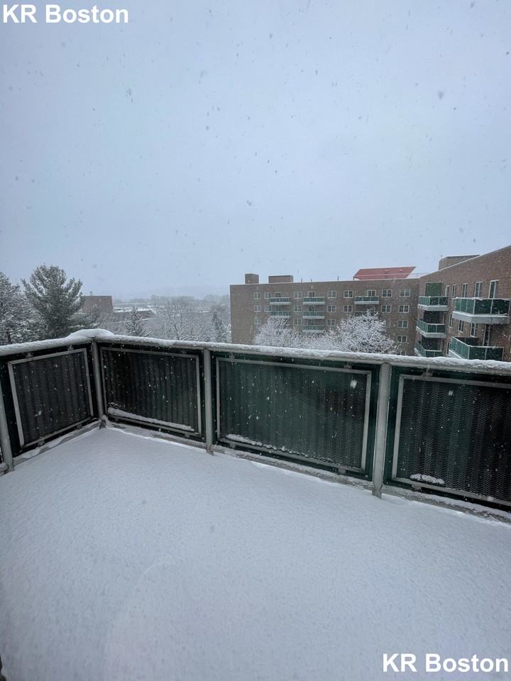 Freeman St #922 - Photo 4 of 19