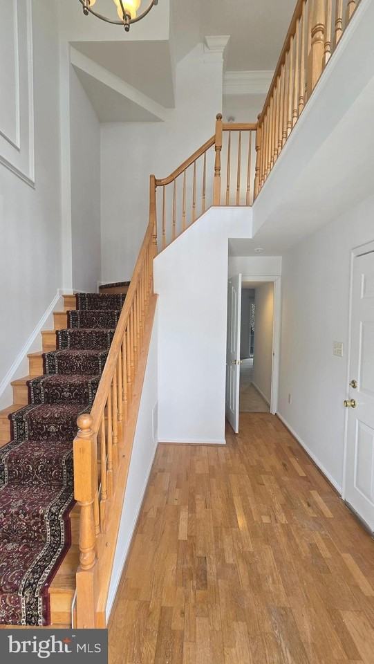 9203 Acer Ln - Photo 4 of 18