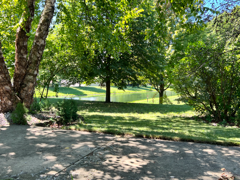 113 Tahoe Dr - Photo 2 of 20