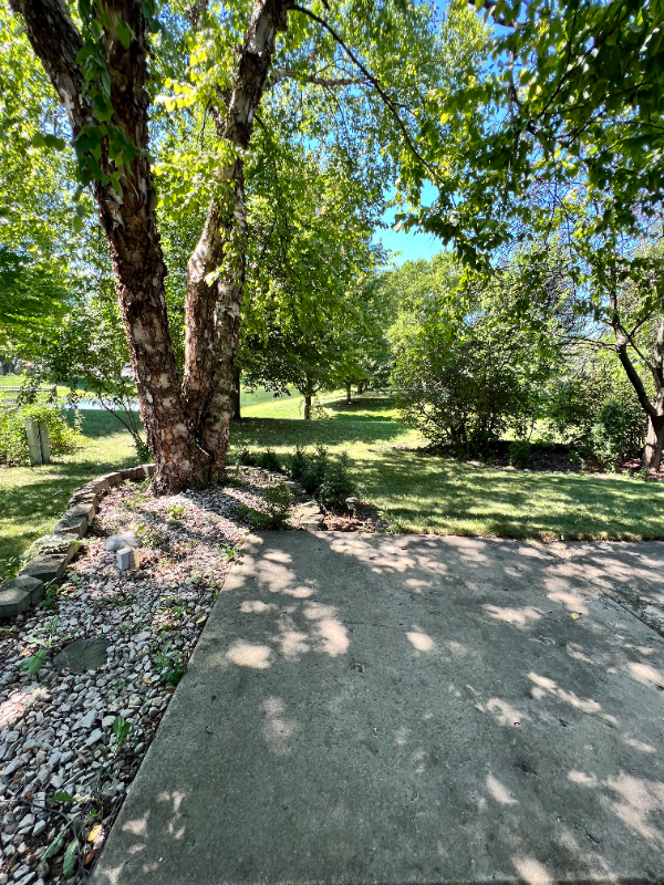 113 Tahoe Dr - Photo 3 of 20